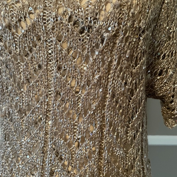 Sequin champagne sweater - Picture 2 of 3